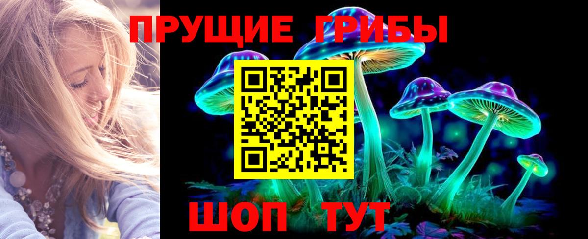 Кузнецк  Псилоцибиновые грибы MAGIC MUSHROOMS  Вход с VPN 